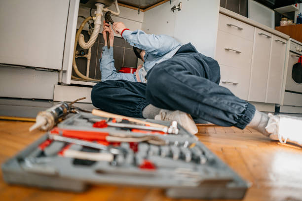 Best Commercial Plumbing Services  in Hobart, IN